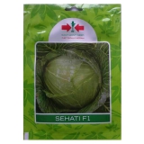 Ini Dia Cara Yang Perlu Diperhatikan Ketika Menanam Sayur Kubis Hibrida Sehati F1 Dengan Benar