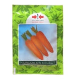 Simak Lima Cara Menanam Wortel Kuroda Sampai Tuntas Berikut