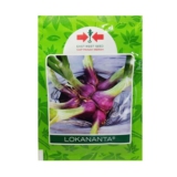 Cara Menanam Bawang Merah Lokananta Agar Panennya Tetap Melimpah Meskipun di Musim Hujan