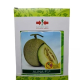 Simple, Begini Cara Menanam Melon Hibrida Alina F1 di Polybag!