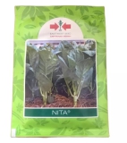 TIPS DAN TRIK CARA MENANAM KAILAN NITA DI RUMAH