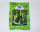 Anti Gagal, Ini Dia Cara Menanam Ketimun Vanesa yang Wajib Diketahui Oleh Pemula!